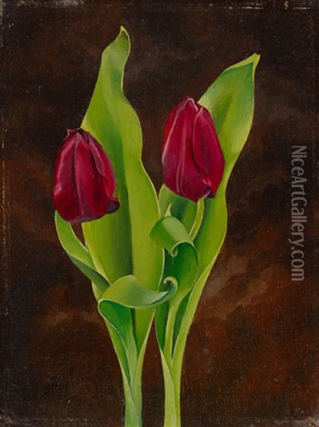 Zwei Tulpen Oil Painting - August Heitmueller
