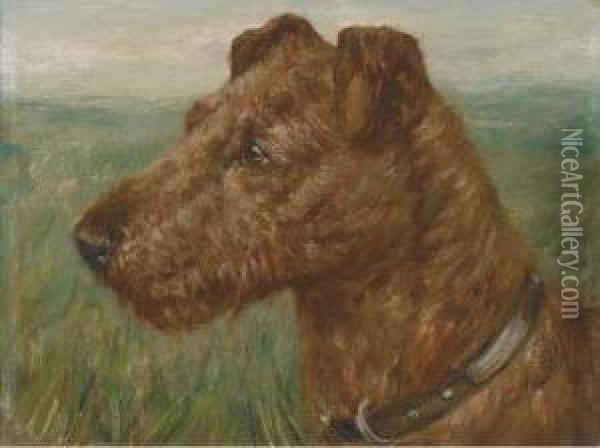 An Irish Terrier Oil Painting - Henry Crowther