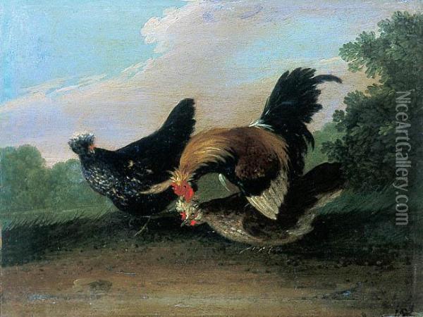 Kogut I Kury W Pejzazu Oil Painting - Johann Adam Fassauer