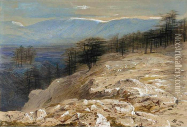 The Cedars Of Lebanon Oil Painting - Edward Lear