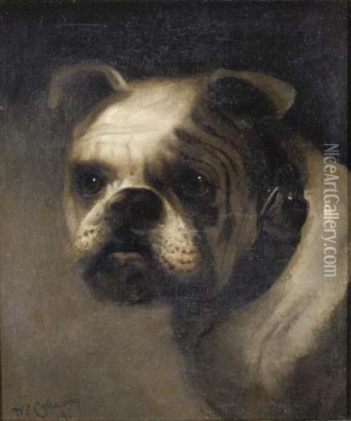 Portrait Of A Bulldog Oil Painting - William Frederick Callaway