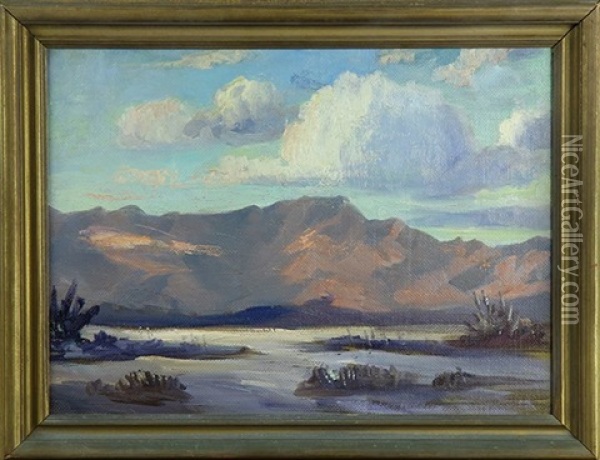 Evening Cloud Shadows On The Desert Oil Painting - Frank William Cuprien