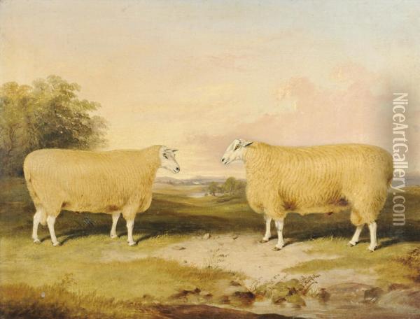 Two Prize Leicester Rams, Standing Beside Trees Oil Painting - Thomas W. Bretland