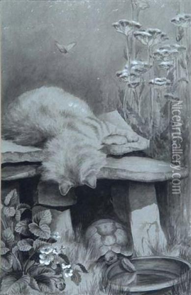 A Kitten Peering Over A Stone Ledge At A Tortoise Oil Painting - Muriel Hunt