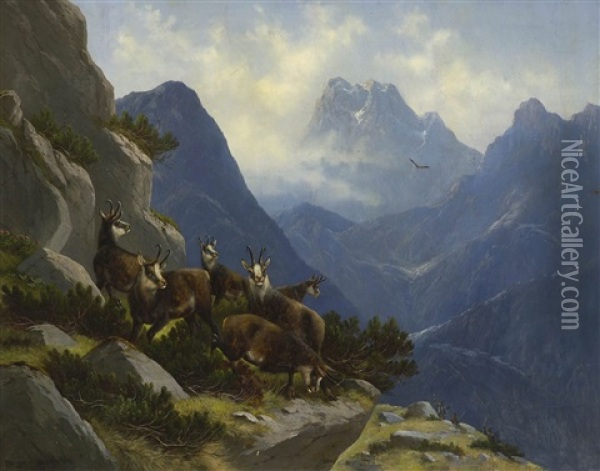Gamswild Im Hochgebirge Oil Painting - Moritz Mueller the Elder