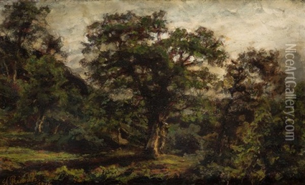 Paisaje, 1914 Oil Painting - Agustin Riancho Y Mora