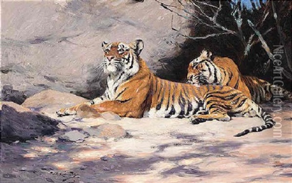 Ruhende Tiger Oil Painting - Wilhelm Friedrich Kuhnert