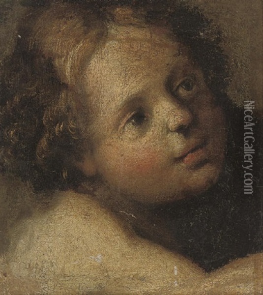 Head Of A Putto Oil Painting -  Correggio