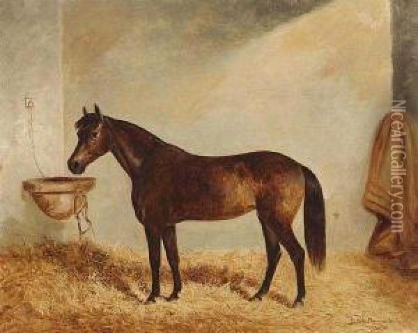 Mare In A Stable Oil Painting - Frederick, Woodhouse Snr.