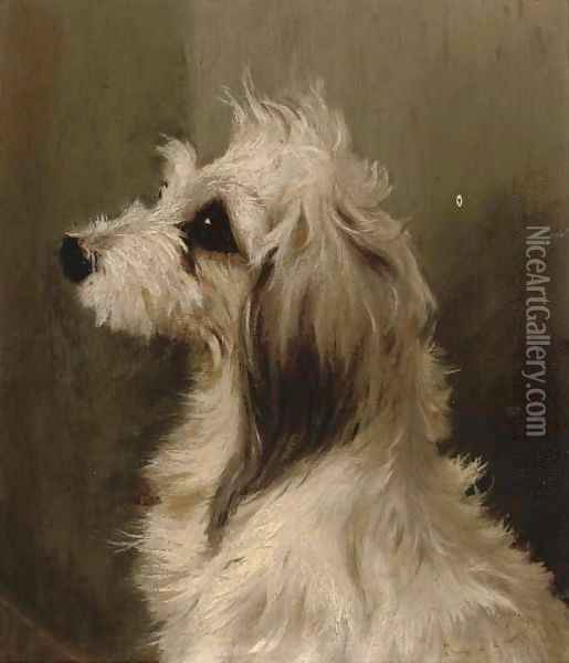 A long-haired white terrier Oil Painting - Edwin Loder