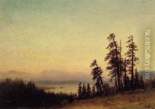 Landscape With Deer Oil Painting - Albert Bierstadt