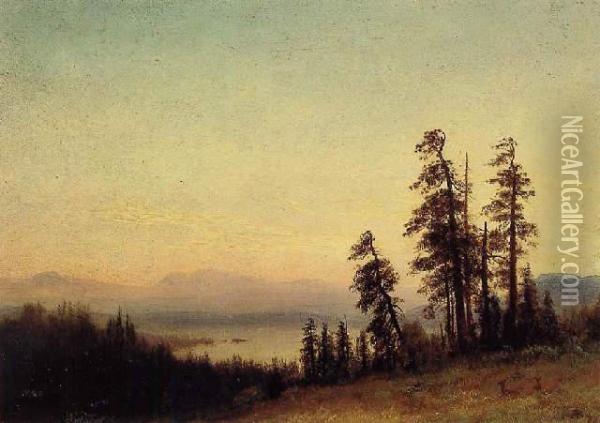 Landscape With Deer Oil Painting - Albert Bierstadt