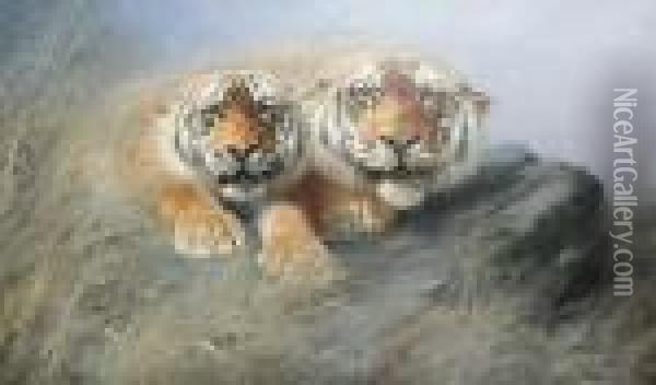 Two Tigers Crouching On A Rock Oil Painting - Lilian Cheviot