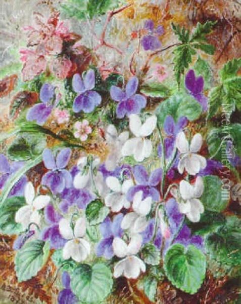 Wild Violets Oil Painting - Albert Durer Lucas