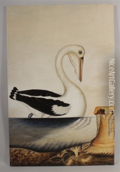 Australian White Pelican Oil Painting - George Raper
