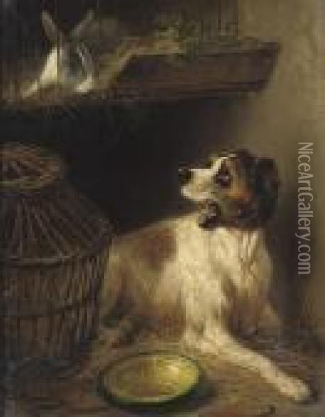 A Dog And A Rabbit Oil Painting - Henriette Ronner-Knip