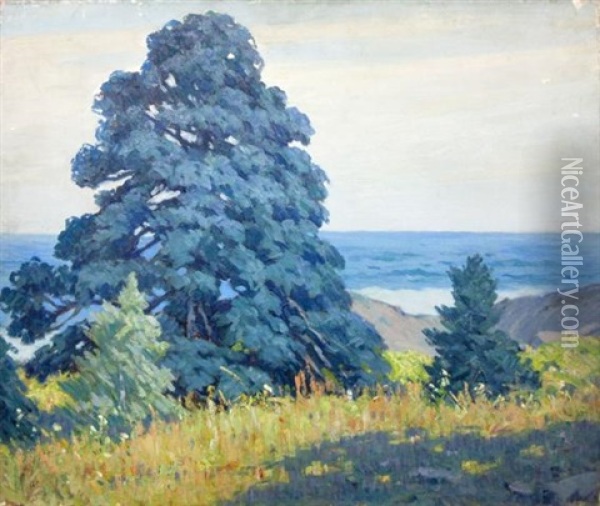 Pine Tree, Monhegan Oil Painting - George J. Stengel