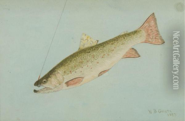 Brook Trout Oil Painting - William B. Gillette
