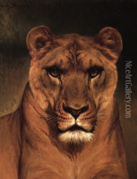 Head Of A Lioness Oil Painting - Rosa Bonheur