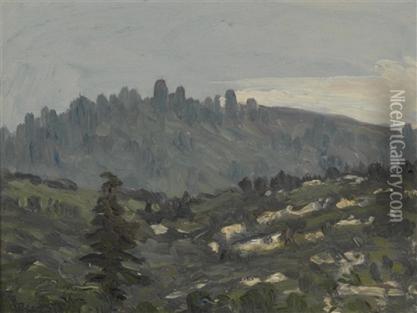 Ben Lomond Mountains Oil Painting - Gottardo Piazzoni