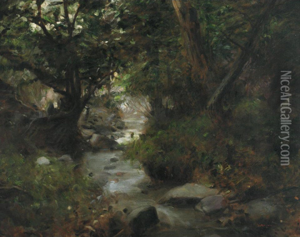 A Forest Stream Oil Painting - Gyvlia Glatter