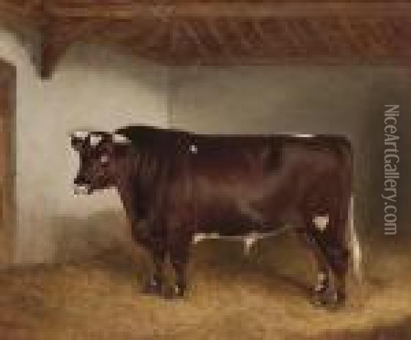 Lord Somerset Iii, A Short Horn Bull In A Stable Interior Oil Painting - Of John Alfred Wheeler