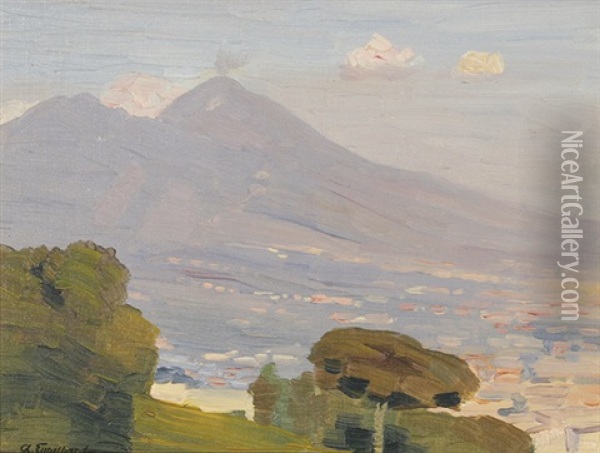 Blick Uber Neapel Auf Den Vesuv Oil Painting - Anton (Johann A.) Engelhard