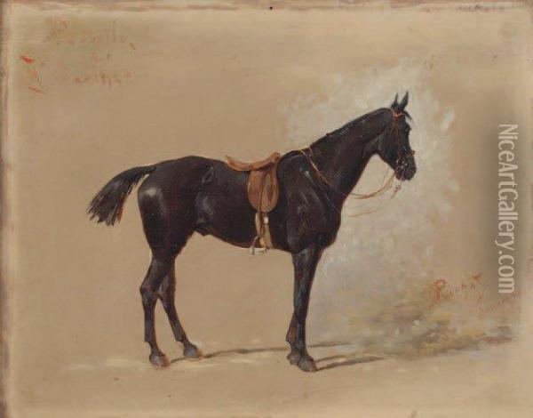 Rebelle, Portrait Equestre Oil Painting - Olivier Pichat