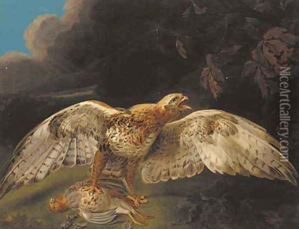 A hawk guarding his prey Oil Painting - Stephen Elmer