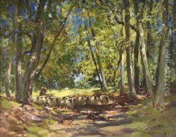 A Flock Of Sheep In The Shade Oil Painting - William Bradley Lamond