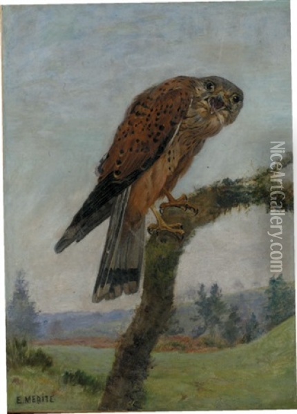 Le Faucon Crecerelle Oil Painting - Edouard Paul Merite