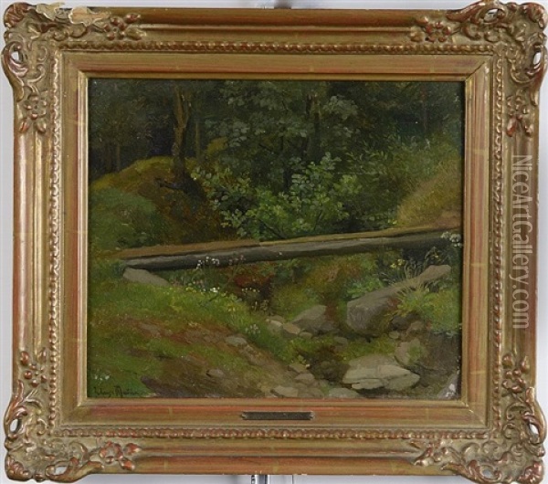 Lesni Zakouti Oil Painting - Julius Eduard Marak