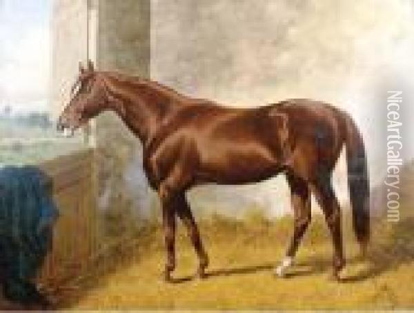 A Bay Horse In A Stall Oil Painting - Henry Stull