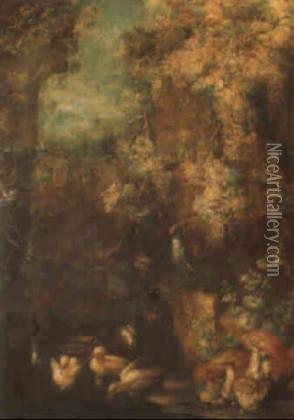 Woodland Clearing With Ducklings And A Woodpecker Beside A Pool Oil Painting - Felice Rubbiani