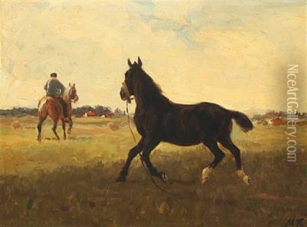 Horses In The Field Oil Painting - Hans Michael Therkildsen