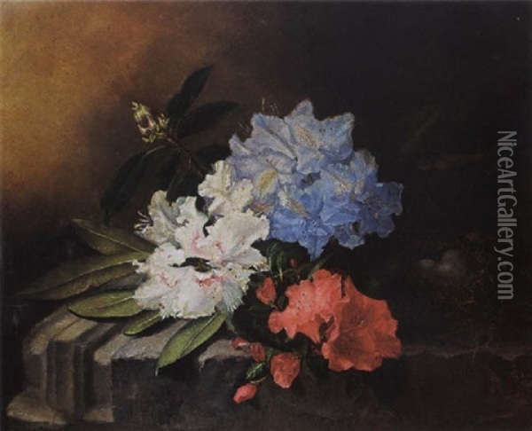 A Still Life With Rhododendrons Oil Painting - Maria Aletta Fennigje Molijn