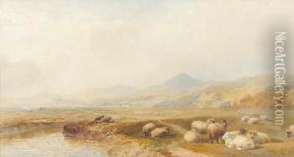 Harlech And Port Madoc, North Wales Oil Painting - Cornelius Pearson