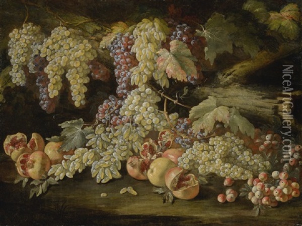 Still Life Of Grapes Oil Painting - Michelangelo Cerquozzi