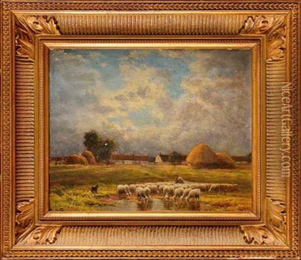 Moutons Pres De L'etang Oil Painting - Paul Chaigneau