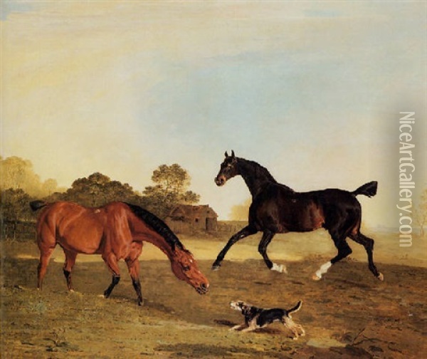 A Light Bay And A Brown Hunter In A Paddock Startled By A Terrier Oil Painting - Benjamin Marshall