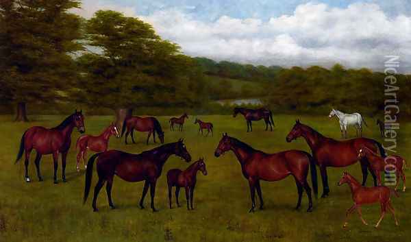The Duke Of Westminster's Mares And Foals Oil Painting - G. Stirling-Brown