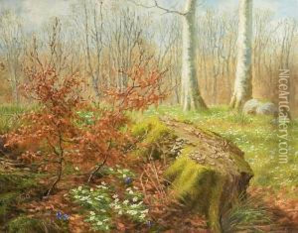 Forest Scenery With Anemones And Crocus. Signed Monogram 1917 Oil Painting - Anthonie, Anthonore Christensen