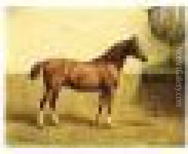 The Horse 'oscar' In A Stable Oil Painting - Willem Carel Nakken