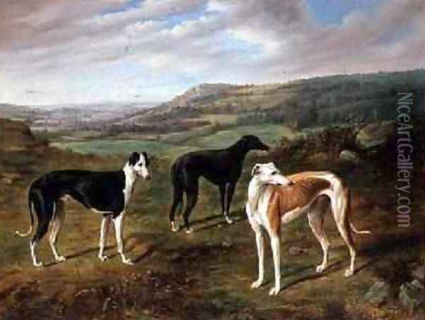 Greyhounds Oil Painting - Benjamin Cam Norton