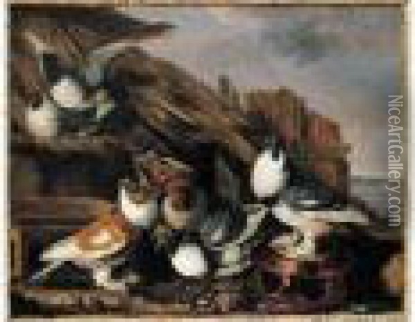 Pigeons S'ebattant Pres D'une Mangeoire De Terre Vernissee Oil Painting - Jacomo (or Victor, Jacobus) Victors