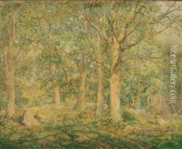 Sunlight And Shadows Oil Painting - Wilson Henry Irvine