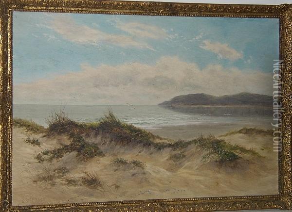 A Tranquil Coastal View Oil Painting - Daniel Sherrin