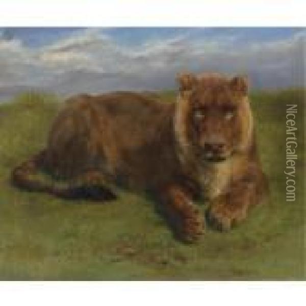 Lioness At Rest Oil Painting - Rosa Bonheur