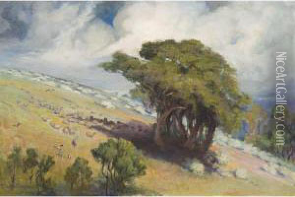 Hillside, Bacchus Marsh Oil Painting - Charles Douglas Richardson