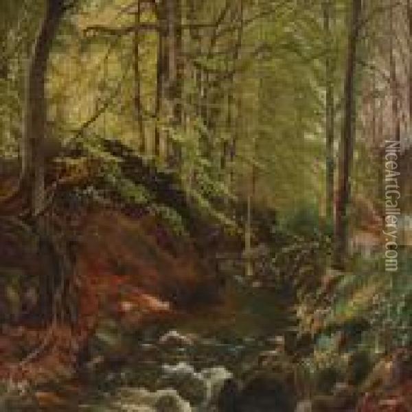 A New Beech Forestwith A Creek Oil Painting - Emil Winnerwald